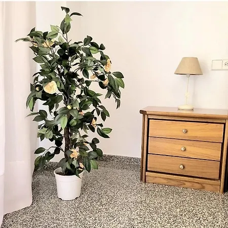 Amistosa, Habitacion Con Balcon, Alicante, Playa, Centro, Rambla, Mercado * Alicante
